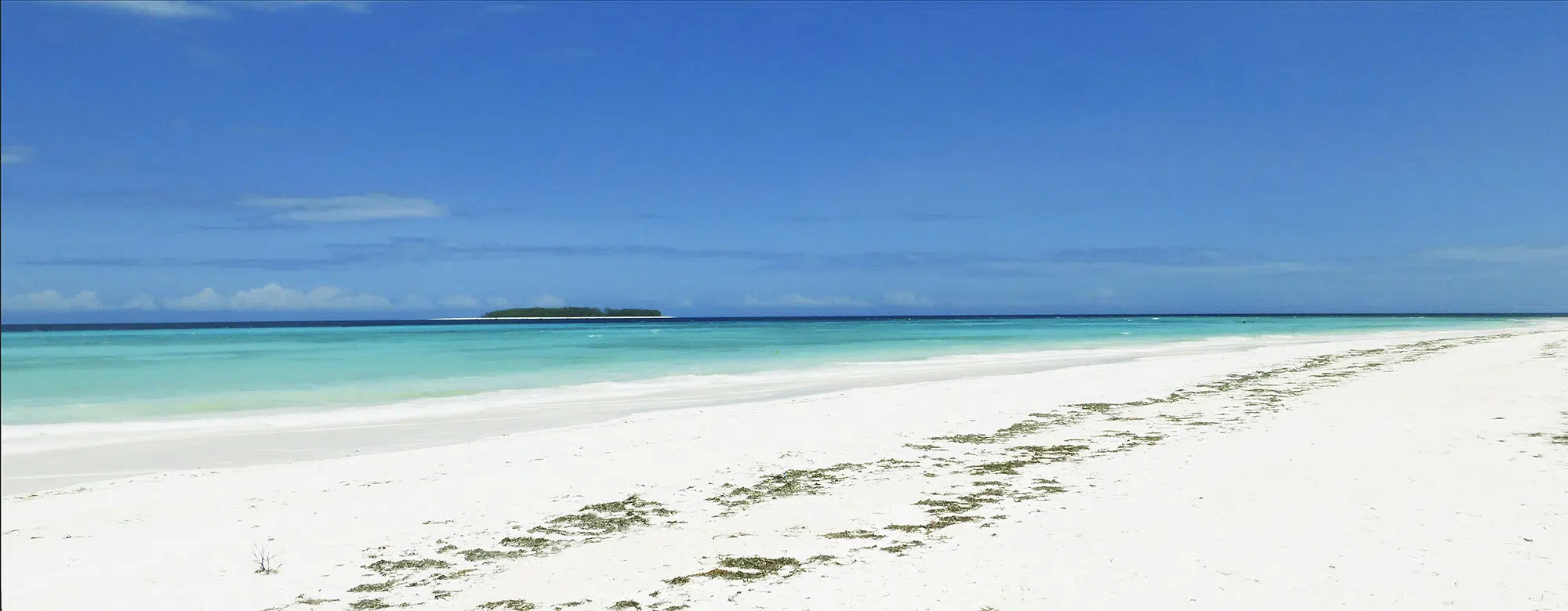 viajes-a-africa-excursión-barco-atolon-mnemba-zanzibar-1.jpg