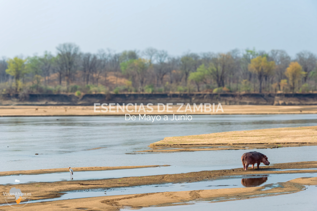 Viajes de lujo a Zambia