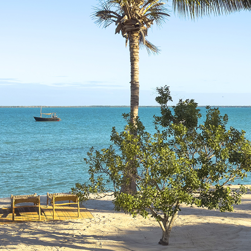 Los mejores lugares de safari y playa