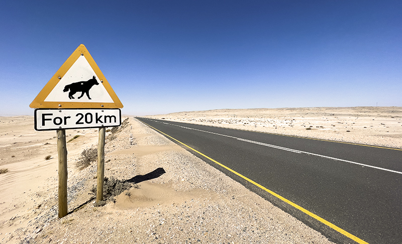 Señal de peligro animales en Namibia