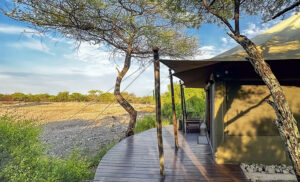 Parque Nacional Etosha