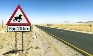 Carretera desértica con señal de advertencia de caballos salvajes cerca de Aus, Namibia