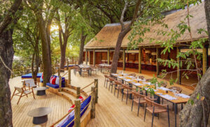 Zonas comunes de Xugana Island Lodge, Delta del Okavango