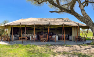 Campamento de safari en el Área de Ndutu, dentro de la Conservación de Ngorongoro, Tanzania.