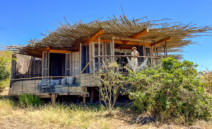 Lodge boutique en Ruaha National Park, Tanzania, parque remoto y poco masificado ideal para safaris exclusivos.