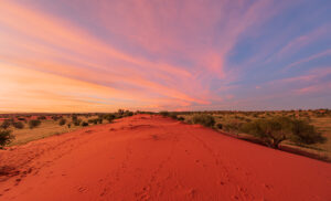 Desierto del Kalahari en Namibia al atardecer