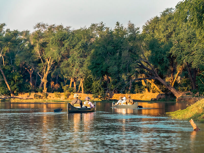 Canoas navegando por el río Zambeze durante una experiencia en Zambia