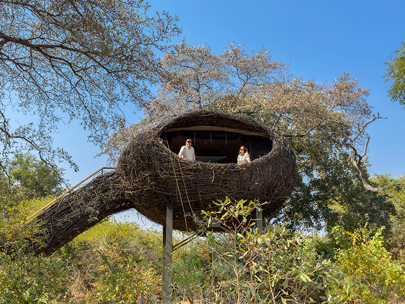 Suite elevada con forma de nido en las llanuras de Busanga durante una experiencia en Zambia