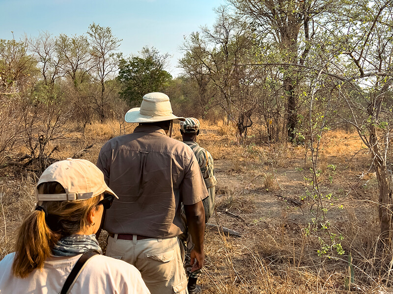 Safari a pie con guías en South Luangwa durante una experiencia en Zambia