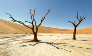 Árboles secos en Deadvlei con dunas del Namib al fondo en Namibia