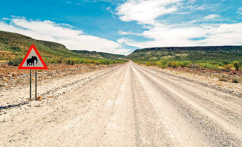 Carretera en Namibia con señal de fauna salvaje