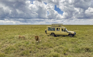 Vehículo 4x4 en las llanuras de Tanzania durante un safari