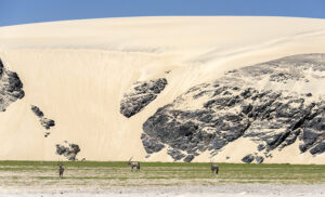 Órix entre dunas y rocas en la Costa de los Esqueletos, Namibia
