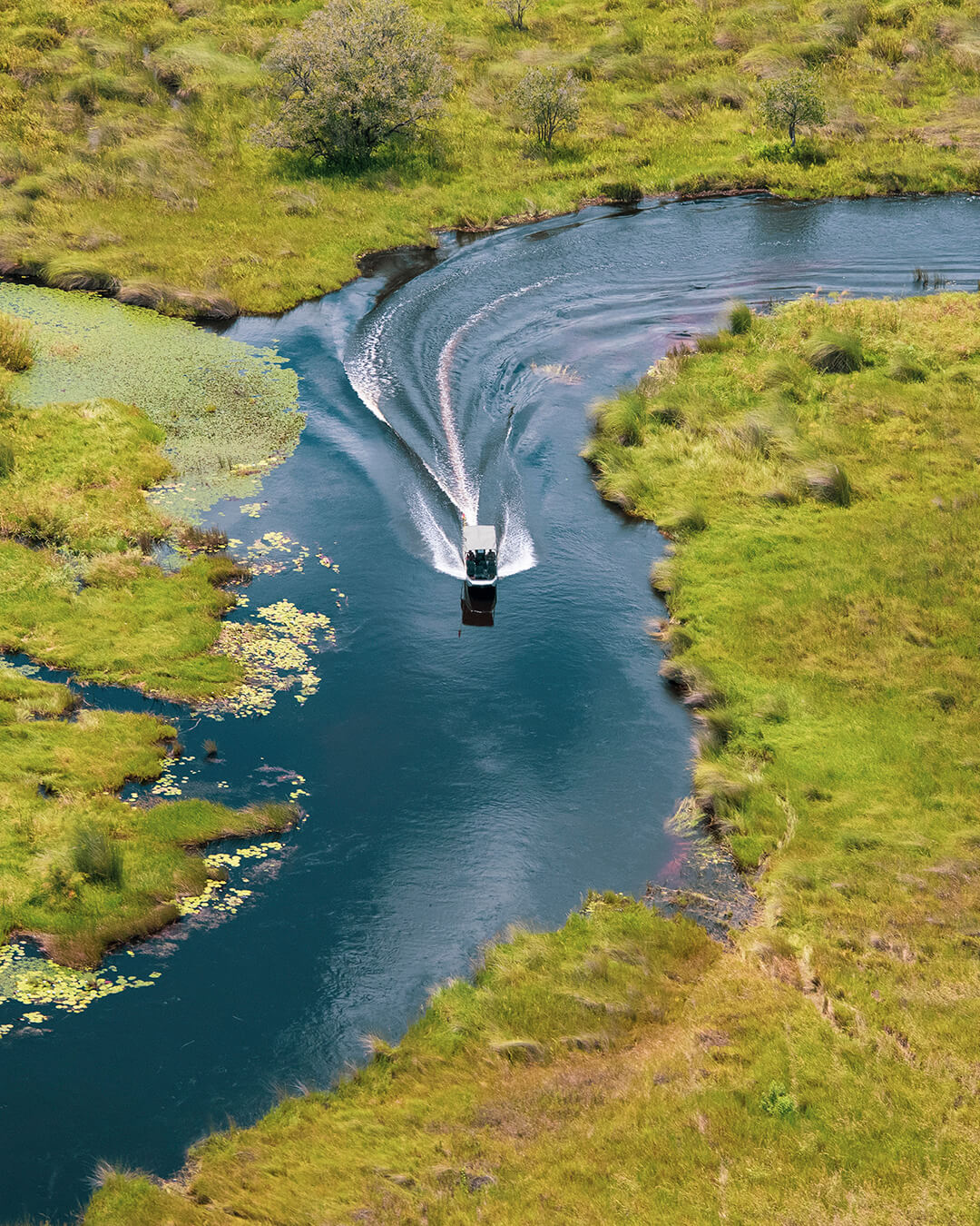 Vista aérea de una lancha navegando por los canales del Delta del Okavango en Botswana.