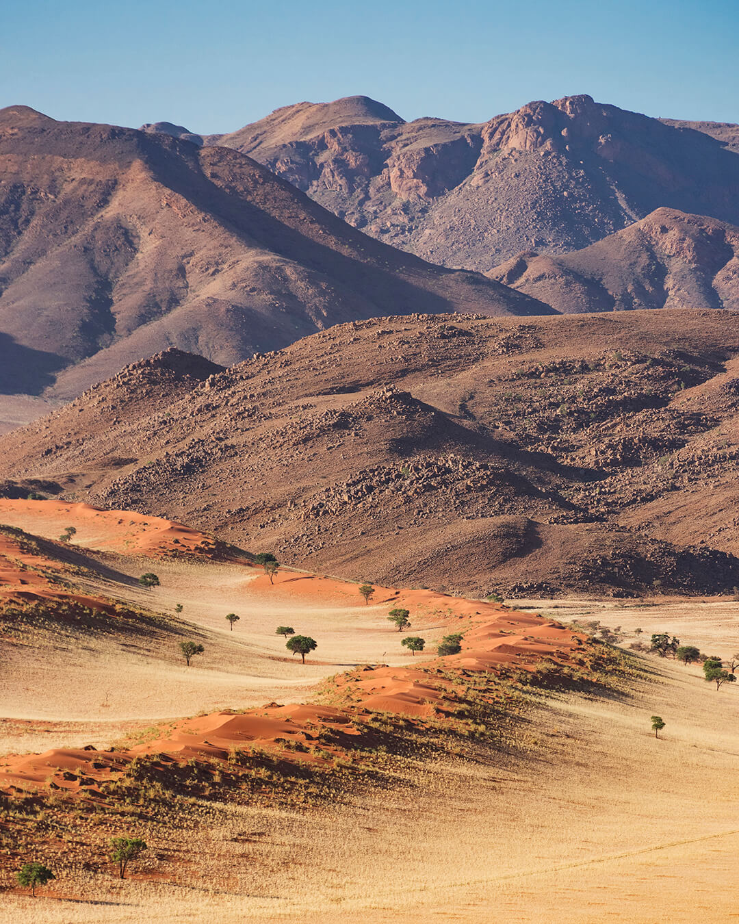 Paisaje del desierto del Namib en Namibia dentro de una ruta de safari a medida en África.