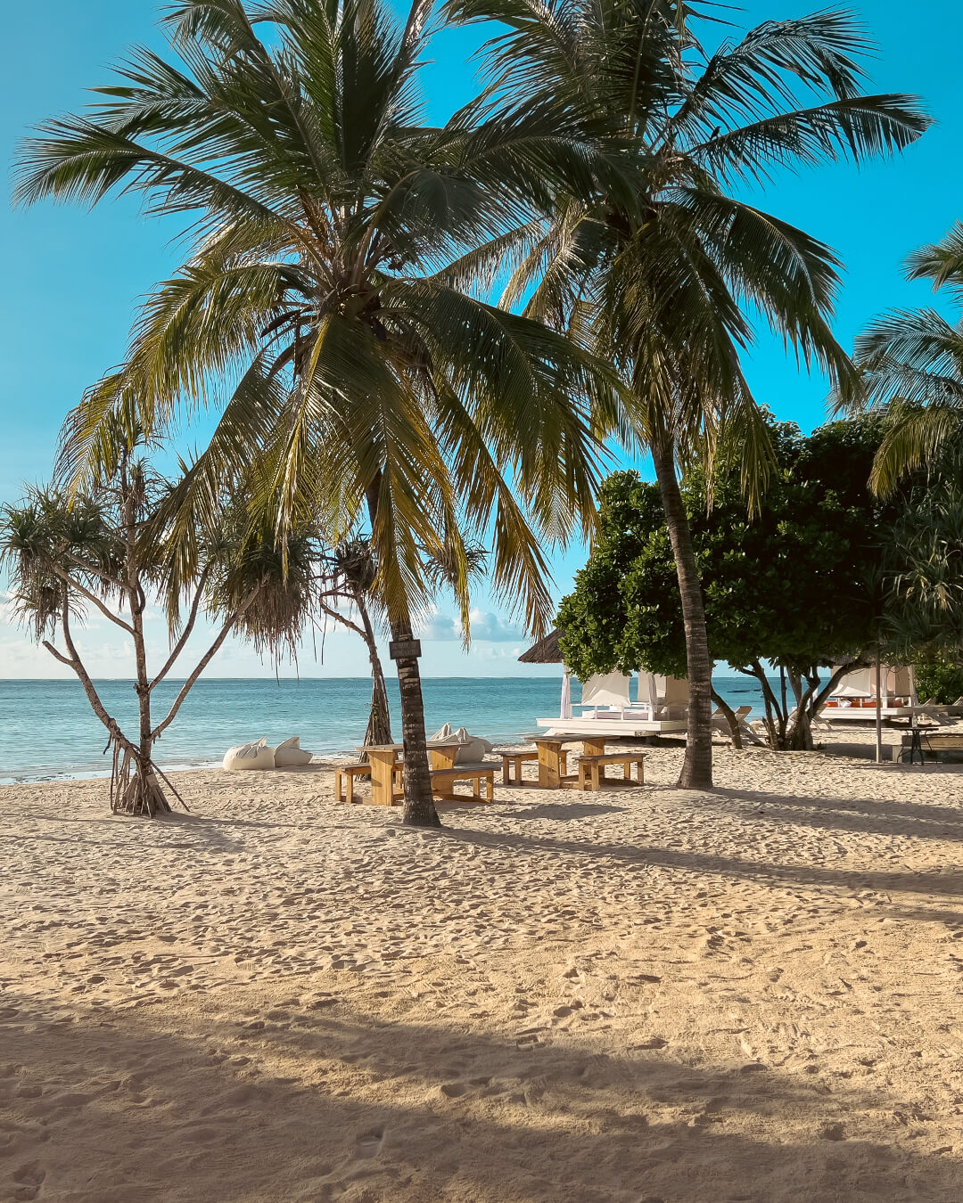 Playa con palmeras y zona de descanso en Sussurro, alojamiento boutique en Mozambique.