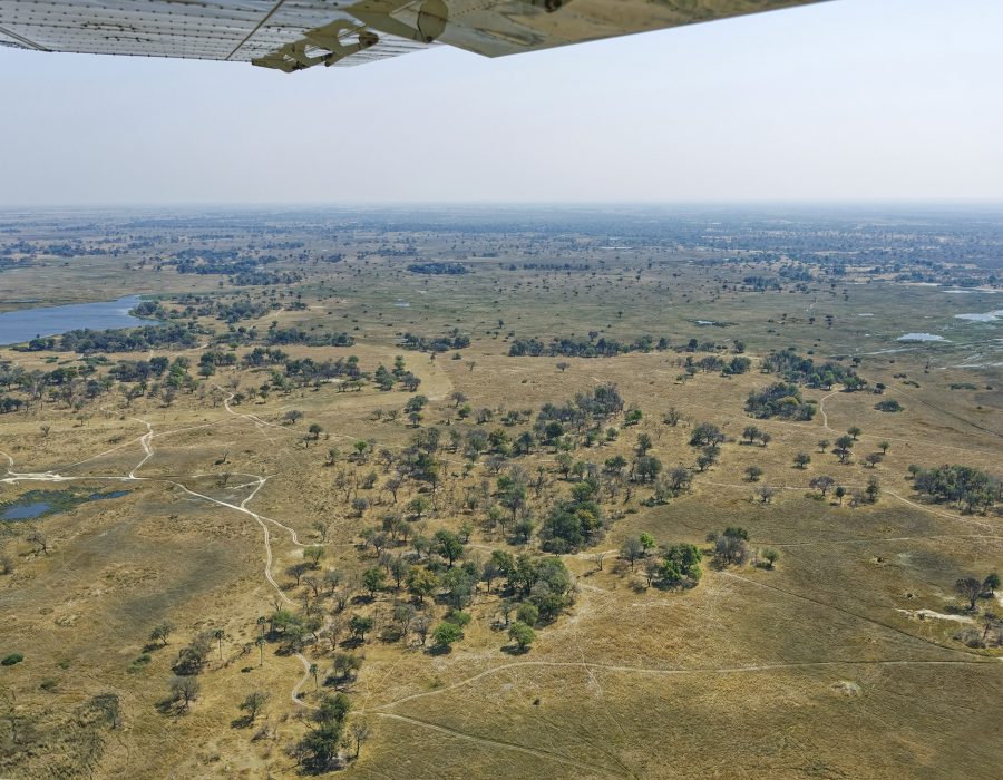 viajes a africa flying safari delta okavango